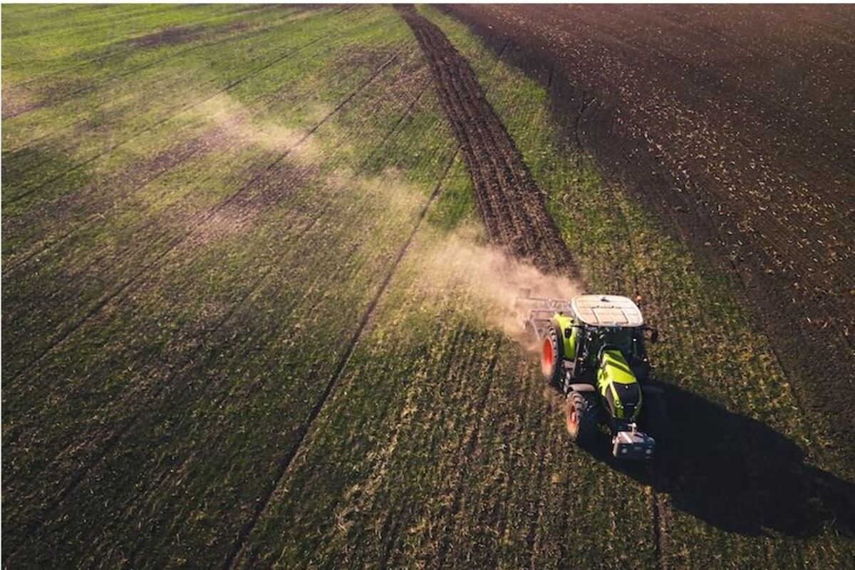 Sulfato De Cobre En La Agricultura » Tratamiento Ecológico